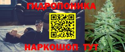 сатива Пенза