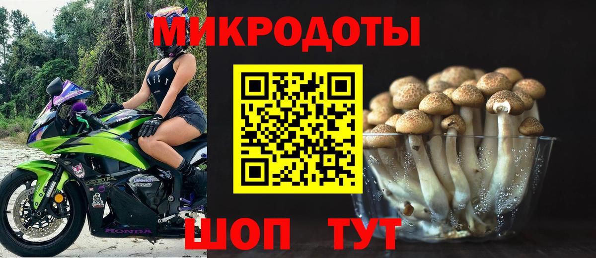 Псилоцибиновые грибы Psilocybine cubensis Чайковский