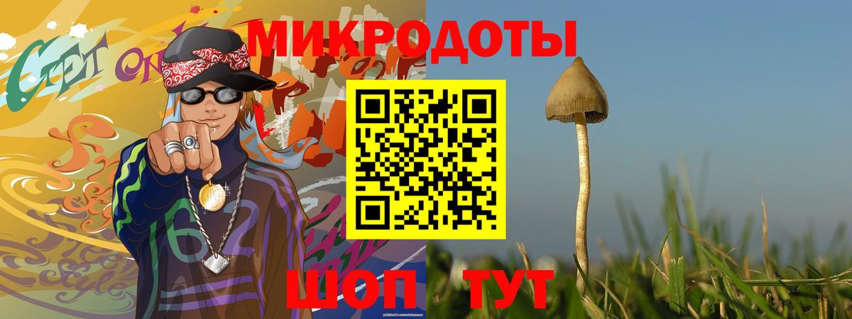 Чайковский  Галлюциногенные грибы GOLDEN TEACHER  Вход с VPN 
